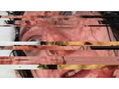 Capture d&#039;écran du jeu d&#039;horreur VILE : Exhumed, représentant une vidéo VHS d&#039;une femme en pause et en panne (Image Source : DreadXP/Final Girl Games)
