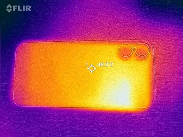 Carte thermique du dos