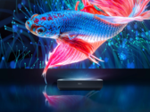 Le Hisense PL1 4K Smart Laser Cinema offre une luminosité de 2 200 lumens ANSI. (Source de l'image : Hisense)