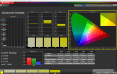 Saturation CalMAN (profil : sRGB)