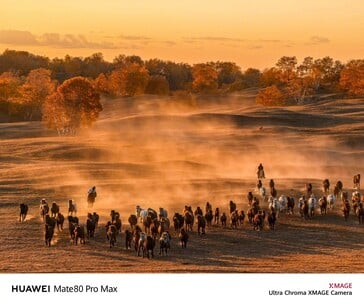 (Source de l'image : Huawei)