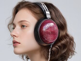 Le casque FiiO FT13 est équipé d'oreillettes en bois de palissandre et de haut-parleurs en bois de bouleau. (Source de l'image : FiiO)