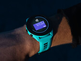 Garmin n'a pas encore terminé le développement de la version 18.xx pour la Forerunner 265. (Source de l'image : Garmin)