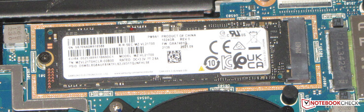 Un SSD NVMe sert de lecteur système.