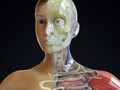 Première prothèse oculaire imprimée en 3D installée dans l'orbite d'un patient