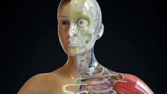 La plateforme d'impression 3D Cuttlefish de Fraunhofer peut désormais mouler des prothèses oculaires (image : Fraunhofer)