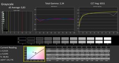 CalMAN : Echelles de gris (calibrées)