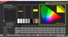 Calman ColorChecker (Profil : P3, Espace colorimétrique cible : P3)