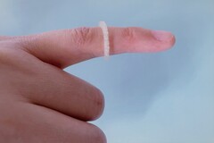 anneau insectifuge imprimé en 3D et développé par l'Université Martin Luther de Halle-Wittenberg (Image source : Uni Halle / Fanfan Du)