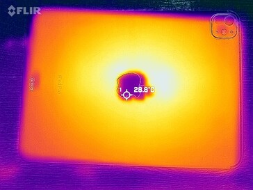 Carte thermique du dos
