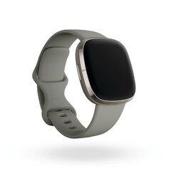 La Fitbit Sense est disponible en argent avec un bracelet de montre Sage Grey. (Image source : Fitbit)