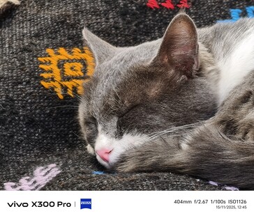 Vivo X300 Pro 400 mm sans télé-convertisseur.