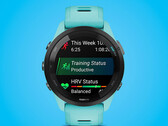 La série Forerunner 265 est disponible en deux tailles. (Source de l'image : Garmin)
