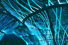 Les câbles en fibre optique peuvent également être utilisés pour créer des œuvres d&#039;art. (Source de l&#039;image : Pexels/Georgie Devlin)