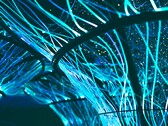 Les câbles en fibre optique peuvent également être utilisés pour créer des œuvres d'art. (Source de l'image : Pexels/Georgie Devlin)