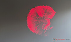 Dangbei MP1 Qualité d'image maximale lumière du jour