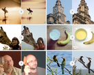 Comparaison entre l’image originale et l’image reconstruite par l’IA