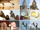 Comparaison entre l’image originale et l’image reconstruite par l’IA