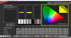 CalMAN ColorChecker étalonné (espace couleur cible DCI-P3)