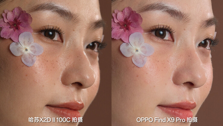 Une comparaison détaillée. (Source de l'image : Zhou Yibao)