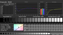 CalMAN : Niveaux de gris (calibrés)