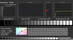 CalMAN : Niveaux de gris (calibrés)