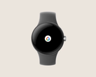 L'application Google Home sur la Pixel Watch. (Source : Google)