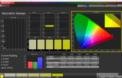Saturation du CalMAN (P3)