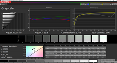 CalMAN: Niveaux de gris (avant calibration)