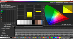 CalMAN : ColorChecker (calibré).