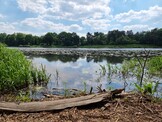 Samsung Galaxy S21 Ultra | mode photo