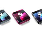 Motorola proposera le Razr 40 Ultra en trois couleurs mais avec un chipset de dernière génération (Source : @evleaks)