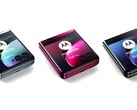 Motorola proposera le Razr 40 Ultra en trois couleurs mais avec un chipset de dernière génération (Source : @evleaks)
