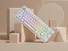 Clavier de jeu sans fil Lemokey P2 HE en blanc avec des touches brillantes. (Source de l'image : Lemokey)