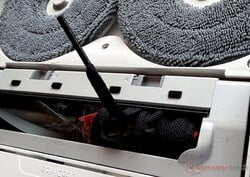 Un lacet a été victime du Qrevo Curv 2 Pro