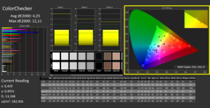 CalMan ColorChecker calibré