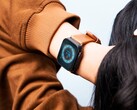 L'autonomie de la batterie de la montre Apple est actuellement un casse-tête pour de nombreux utilisateurs. (Image : Sayan Majhi)