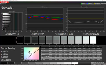 Asus ZenFone 6 - Échelle de gris (Mode : Spectre large (optimisé), espace colorimétrique cible : DCI-P3).
