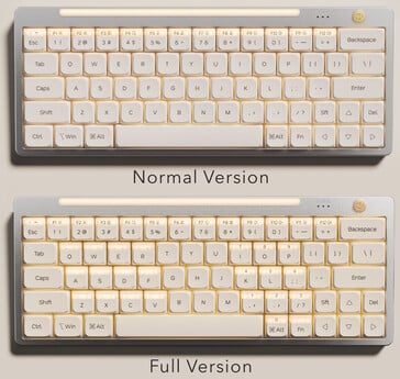 Le clavier à double action Hesper64(100) est disponible en deux versions. (Source de l'image : Nics Tek)