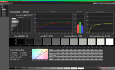 Niveaux de gris avant étalonnage