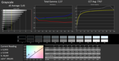 Asus ROG Strix Scar III - CalMAN : Échelle de gris.