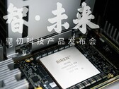 Le BR100 semble être aussi grand que l'A100 de Nvidia (Image Source : EETrend)