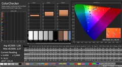 CalMAN : ColorChecker (calibré)