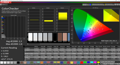 MacBook Pro 13 (2019) - CalMAN ColorChecker (espace colorimétrique cible : P3).