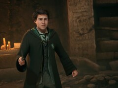 Les fans craignent que leur personnage dans L'héritage de Poudlard 2 ne soit éclipsé par Harry Potter.
