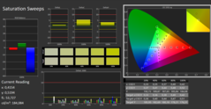 CalMAN : ColorChecker