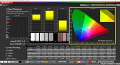 CalMAN ColorChecker (profil : DisplayP3, espace colorimétrique cible : P3)
