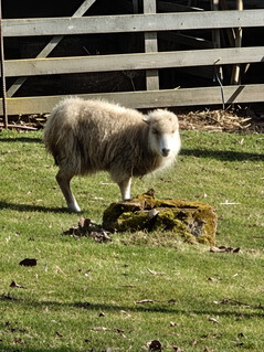 Appareil photo principal (zoom 20x)