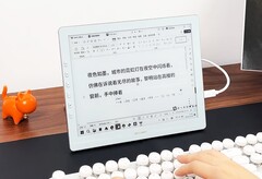 Le dernier moniteur à encre électronique de Dasung peut atteindre un taux de rafraîchissement de 60 Hz. (Source de l&#039;image : Dasung)