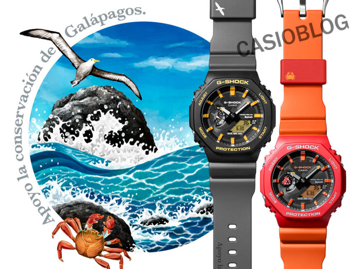 (Image source : Casioblog)